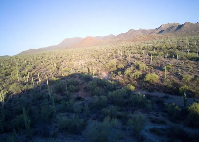 R&r In Saguaro Natl Park Avra